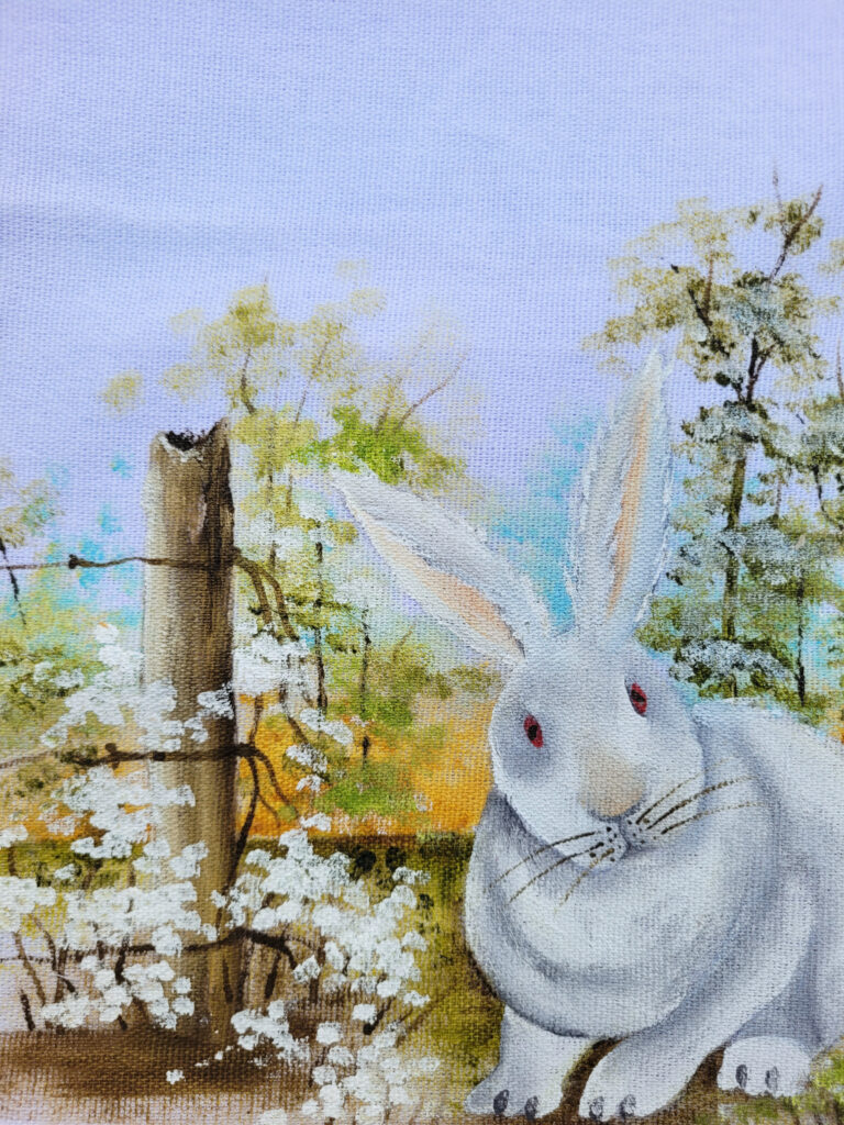 Coelhos' Brancos (2)