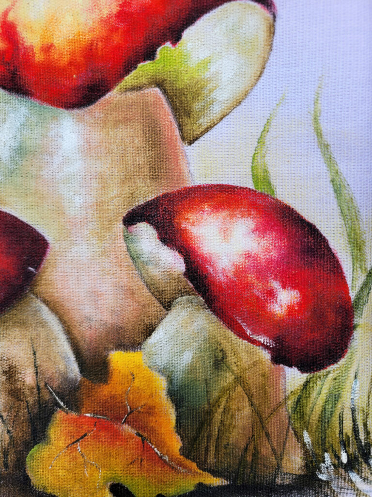 Cogumelo Vermelho (2)